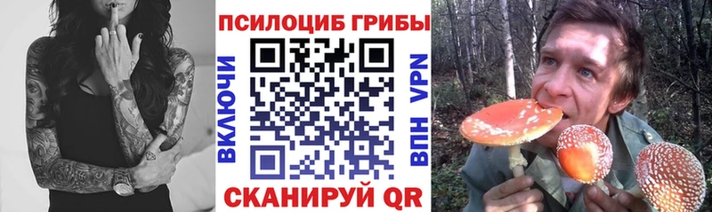 магазин  наркотиков  Гаджиево  Галлюциногенные грибы Psilocybine cubensis 